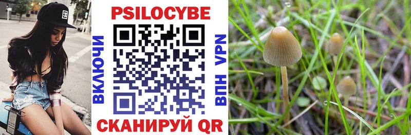 где купить наркоту  Белореченск  Галлюциногенные грибы Cubensis 