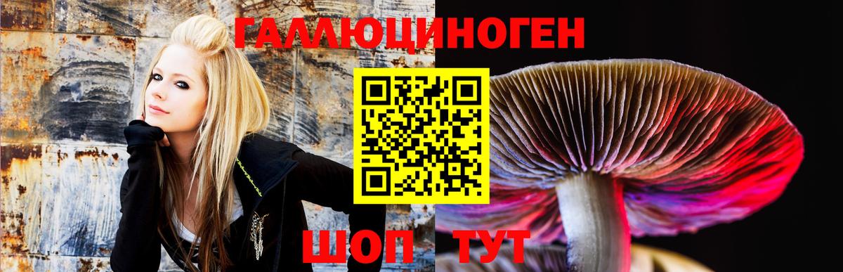 Белореченск  Псилоцибиновые грибы MAGIC MUSHROOMS  Вход с VPN  Галлюциногенные грибы прущие грибы 